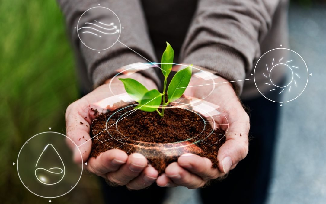 Día de la Sobrecapacidad de la Tierra: El 2 de agosto se agotarán los recursos del 2023