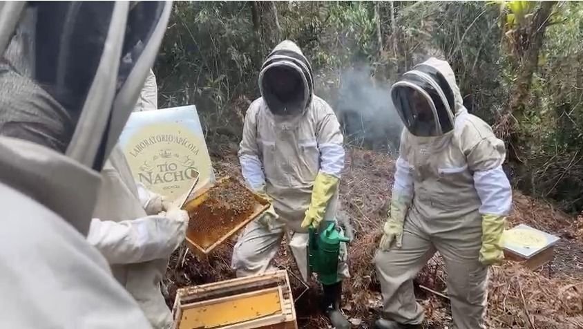Protege Tío Nacho a más de un millón de abejas en favor del medio ambiente en América Latina