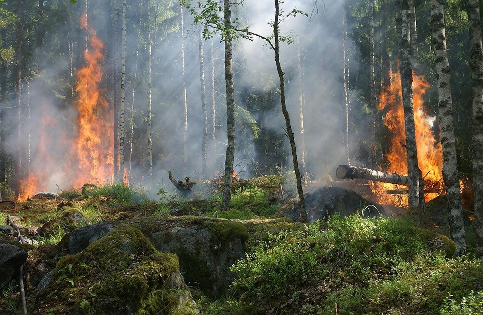 Los incendios forestales y las tormentas severas en Estados Unidos elevan las pérdidas aseguradas globales a 80 mil millones de dólares en el primer semestre de 2025, según estimaciones del Swiss Re Institute.