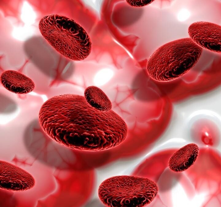 Día Mundial de la Hemofilia 2026: acelerar la ruta de atención es una responsabilidad de todo el sistema